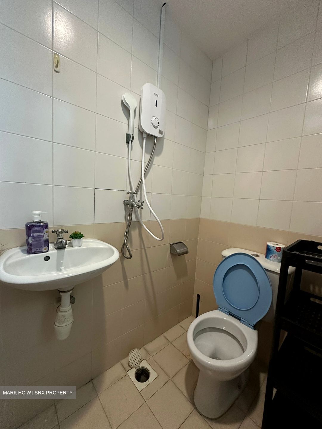 The Floravale (D22), Condominium #516164961